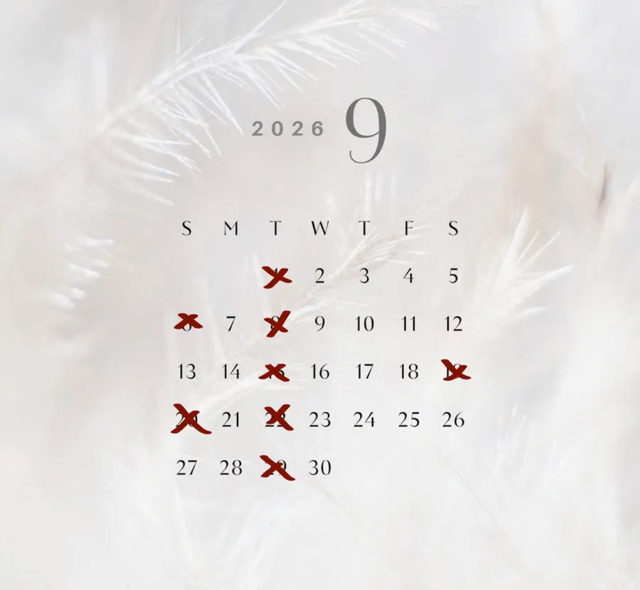 9月の定休日です🎐